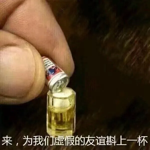 来,为我们虚假的友谊斟上一杯（来,为我们虚假的友谊斟上一杯）