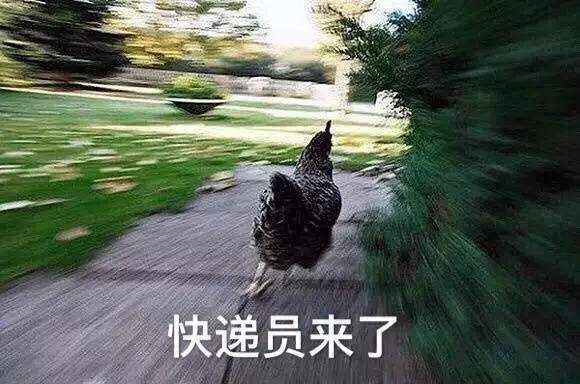 快递员来了