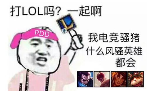 PDD：有打LOL的吗？一起啊 。我电竞 骚猪什么风骚英雄都会