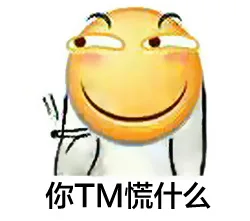 你TM慌什么（你TM慌什么）