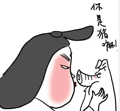 你是猪嘛！（你是猪嘛！）