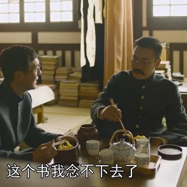 这个书我念不下去了（这个书我念不下去了）