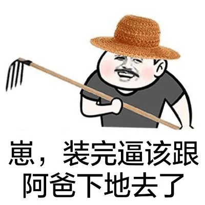 崽，装完逼该跟阿爸下地去了