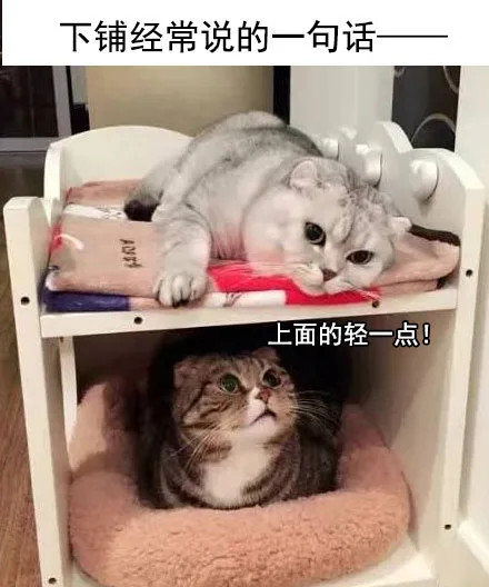 下铺经常说的一句话上面的轻一点!（下铺经常说的一句话上面的轻一点!）