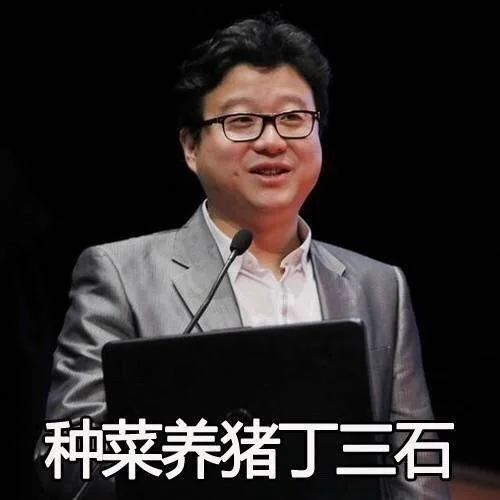 种菜养猪丁三石