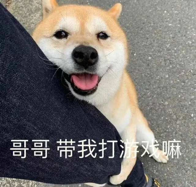 哥哥带我打游戏嘛（哥哥带我打游戏嘛）