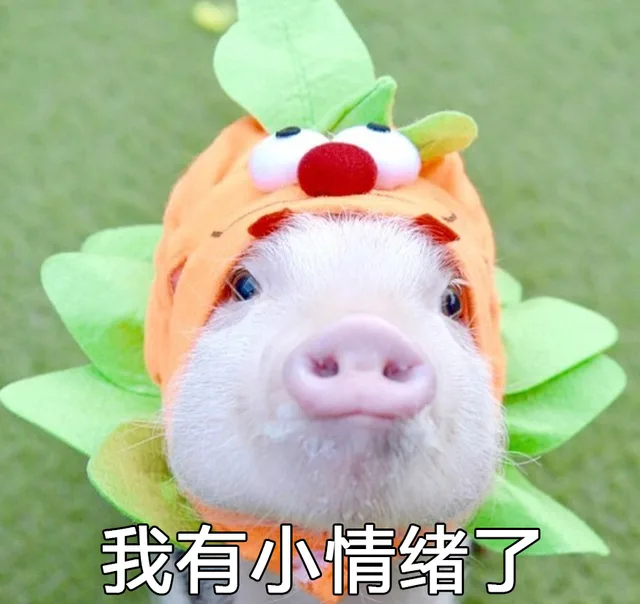 我有小情绪了（我有小情绪了）