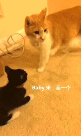 baby,来亲一个。哎呀走开啦，烦死了（baby,来亲一个。哎呀走开啦，烦死了）