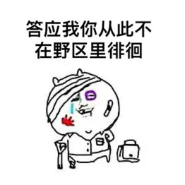 答应我你从此不在也去里徘徊