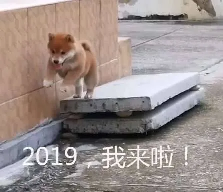 2019，我来啦_狗子_2019表情包
