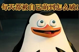 每天都被自己萌到怎么破！_动图_企鹅_搞笑_可爱表情包