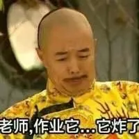 老师，作业它...它炸了