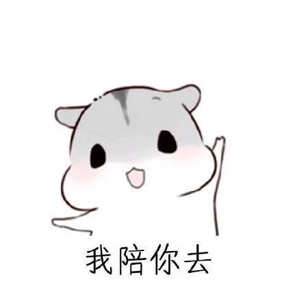 我陪你去（我陪你去）