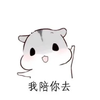 我陪你去