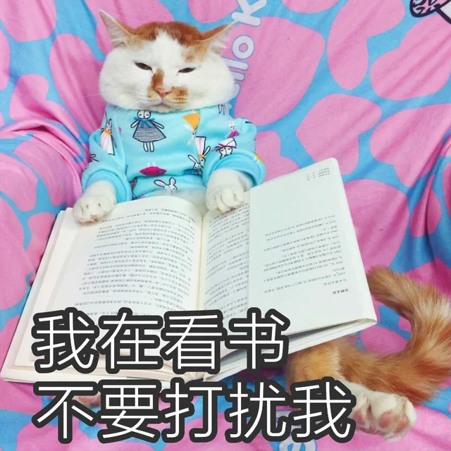EFR N5学ara验rF3B”°y的,y“一wrG)我在看书不要打扰我