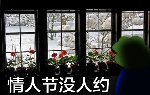 情人节没人约（情人节没人约）