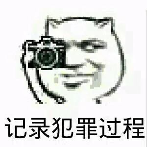 记录犯罪过程（记录犯罪过程）