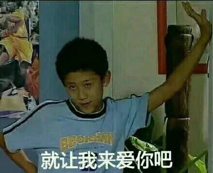 就让我来爱你吧
