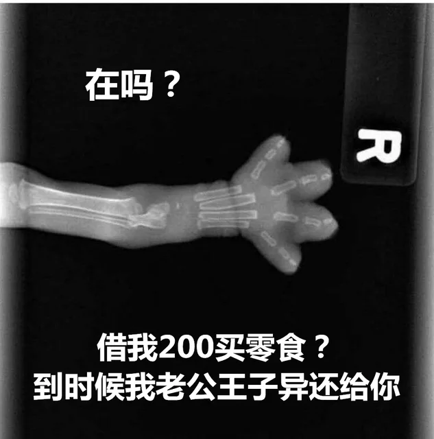 在吗借我200买零食到时候我老公王子异还给你（在吗借我200买零食到时候我老公王子异还给你）