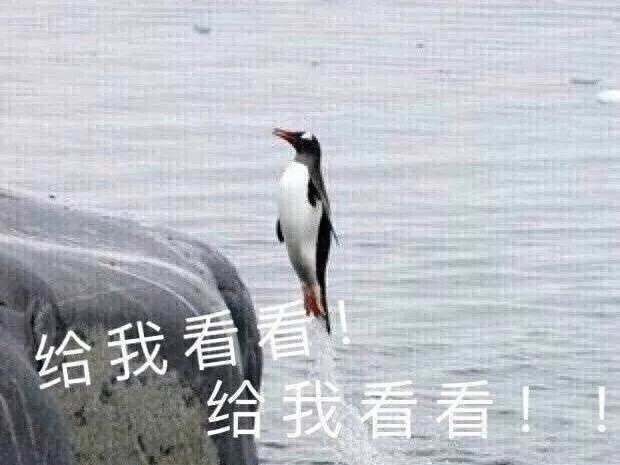 给我看看