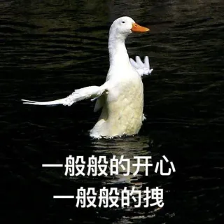 般般的开心般般的拽