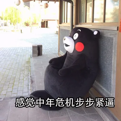 感觉中年危机步步紧逼