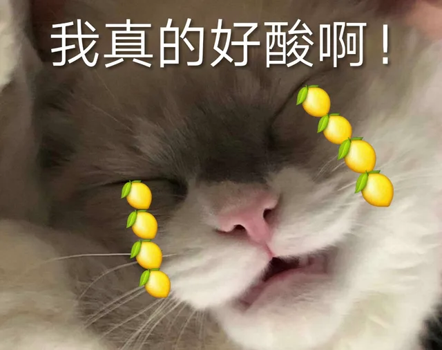我真的好酸啊（我真的好酸啊）