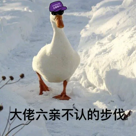 大佬六亲不认的步伐（大佬六亲不认的步伐）