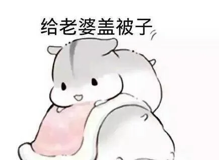 给老婆盖被子