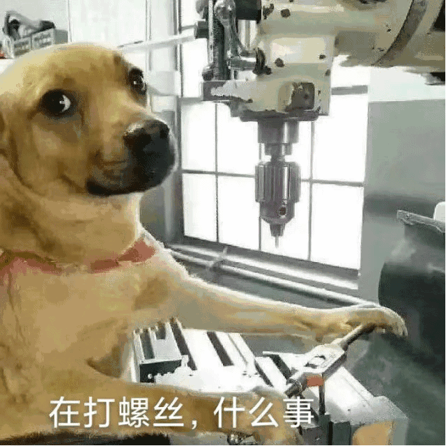 在打螺丝，什么事（在打螺丝，什么事）
