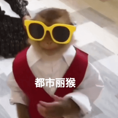 OO都市丽猴(吗喽表情包)（OO都市丽猴(吗喽表情包)）