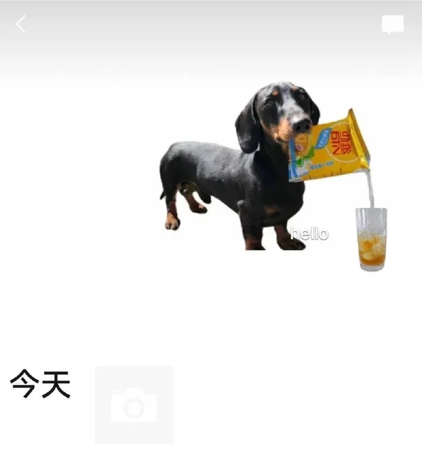 小狗倒饮料朋友圈背景图（小狗倒饮料朋友圈背景图）