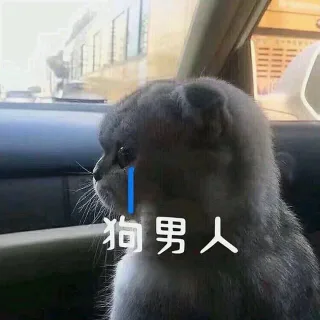 狗男人