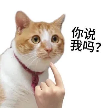 你说我吗？（你说我吗？）