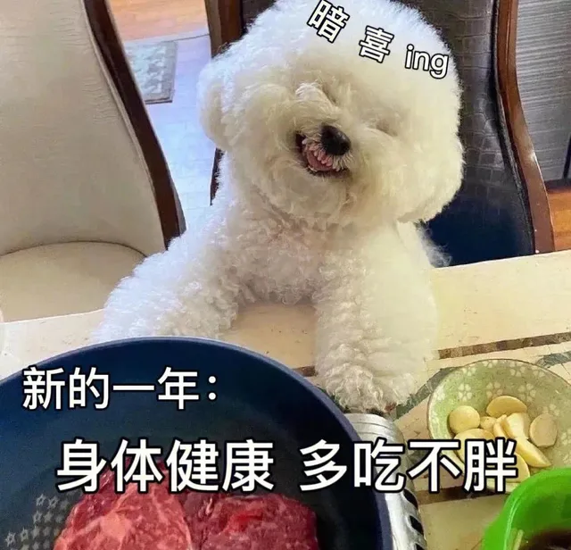 暗喜ing新的一年:身体健康多吃不胖（暗喜ing新的一年:身体健康多吃不胖）