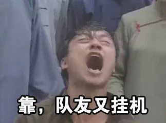 靠，队友又挂机了