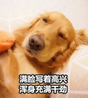 满脸写着高兴浑身充满干劲