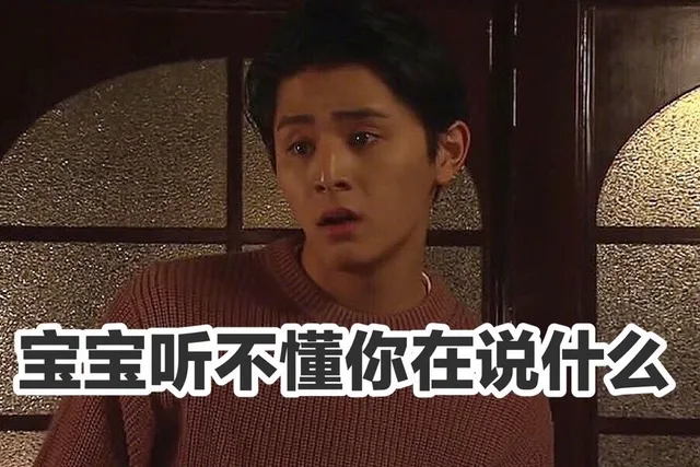 宝宝听不懂你在说什么（宝宝听不懂你在说什么）