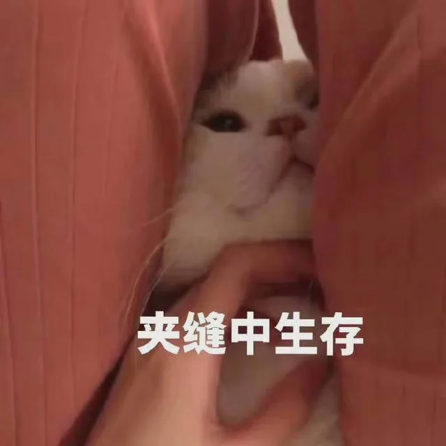 夹缝中生存