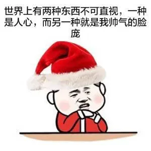 世界上有两种东西不可直视,一种是人心,而另一种就是我帅气的脸庞