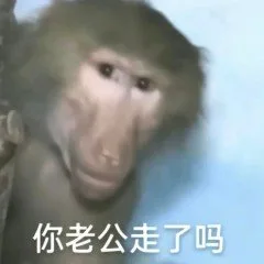 你老公走了吗（你老公走了吗）