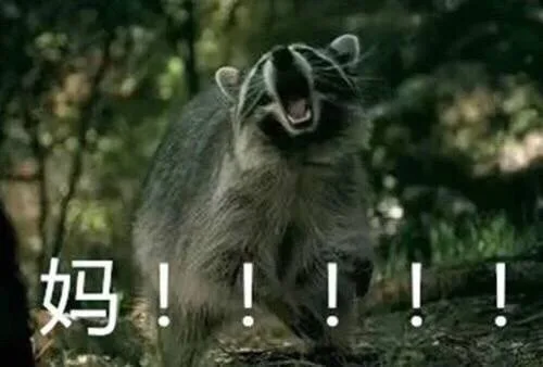 妈！！！（妈！！！）