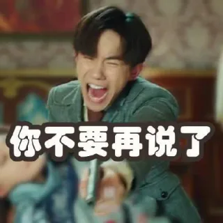 你不要再说了