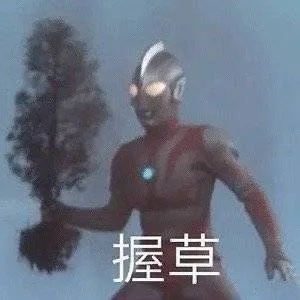 握草（握草）