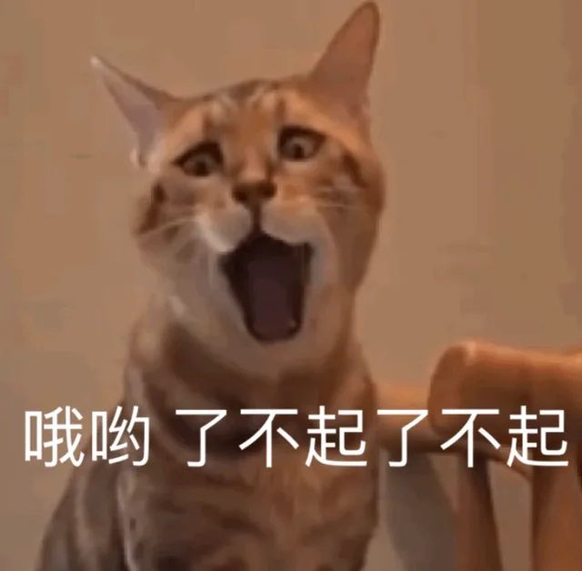 哦哟 了不起（哦哟 了不起）