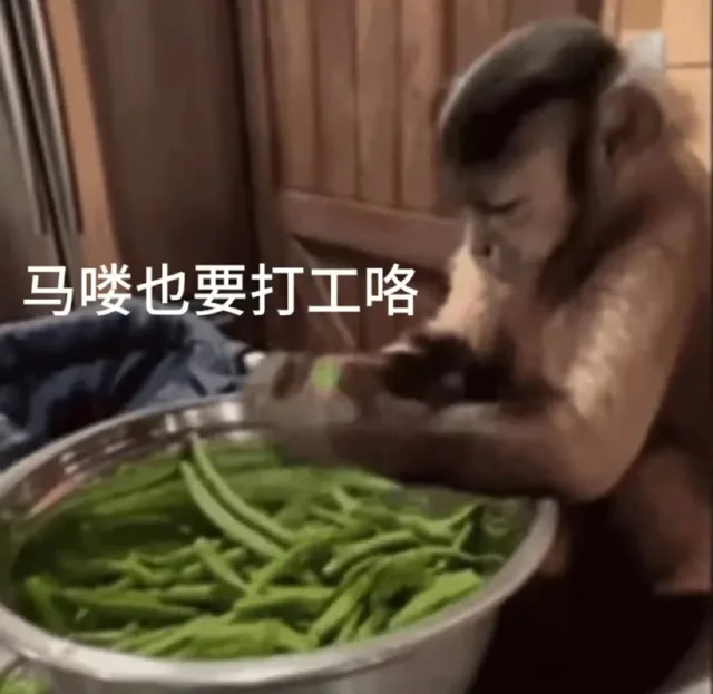 马喽也要打工咯（马喽也要打工咯）