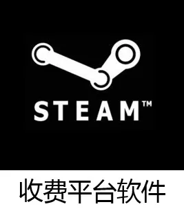 STEAM收费平台软件