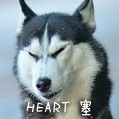 HEART 塞