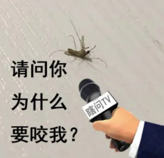 热门表情包精选表情包