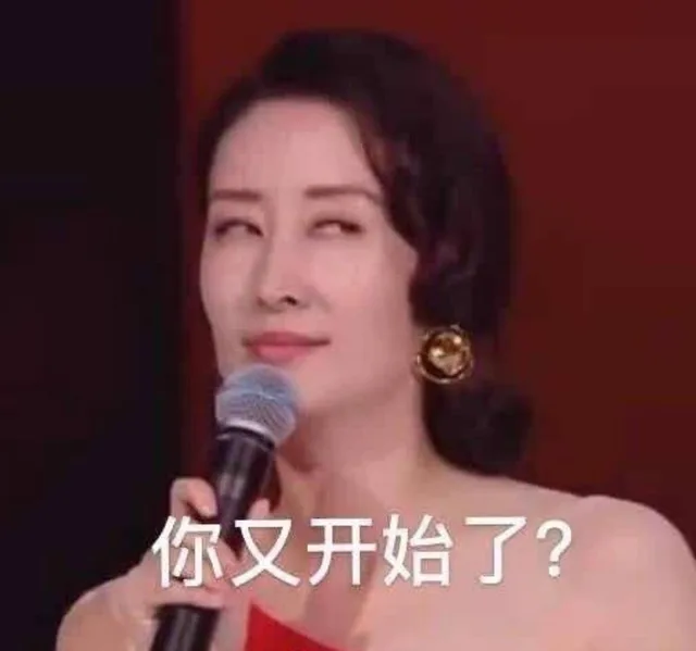 你又开始了?(刘敏涛表情包)